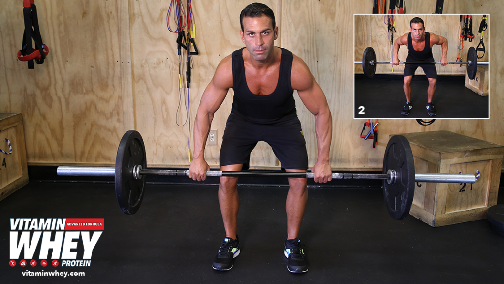 BENT OVER BARBELL ROW